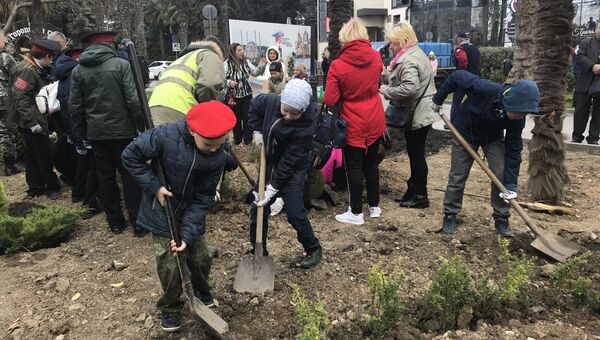 Высадка растений на набережной Ялты в рамках всекрымской акции В единстве - будущее