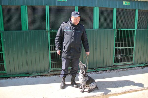 Сотрудник Пограничного управления ФСБ России со служебной собакой в пункте пропуска Джанкой Сотрудник Пограничного управления ФСБ России со служебной собакой в пункте пропуска Джанкой
