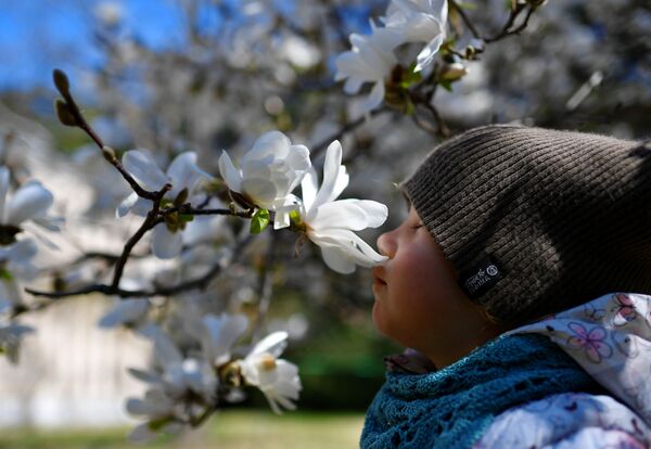 Ребенок в Никитском ботанический саду в Крыму