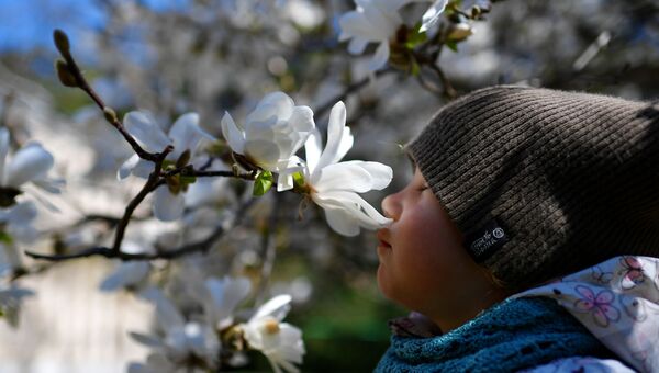 Ребенок в Никитском ботанический саду в Крыму