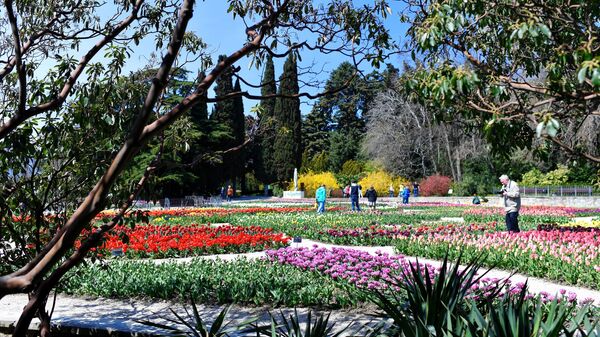 Никитский ботанический сад в Крыму