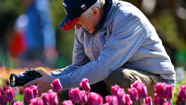 Мужчина фотографирует цветы в Никитском ботаническом саду в Крыму