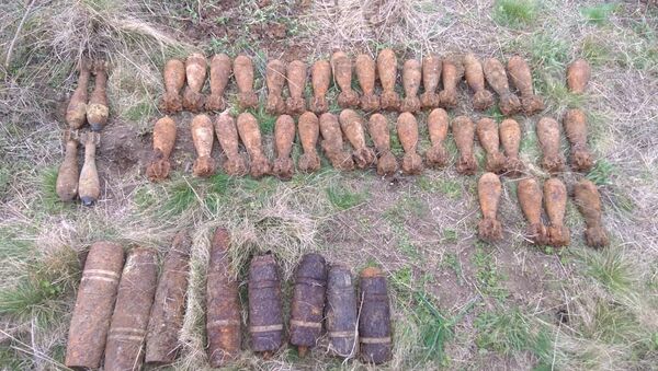 Боеприпасы времен Великой Отечественной войны, обнаруженные в районе села Бондаренково Ленинского района