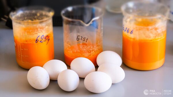 Куриные яйца в лаборатории Центра гигиены и эпидемиологии