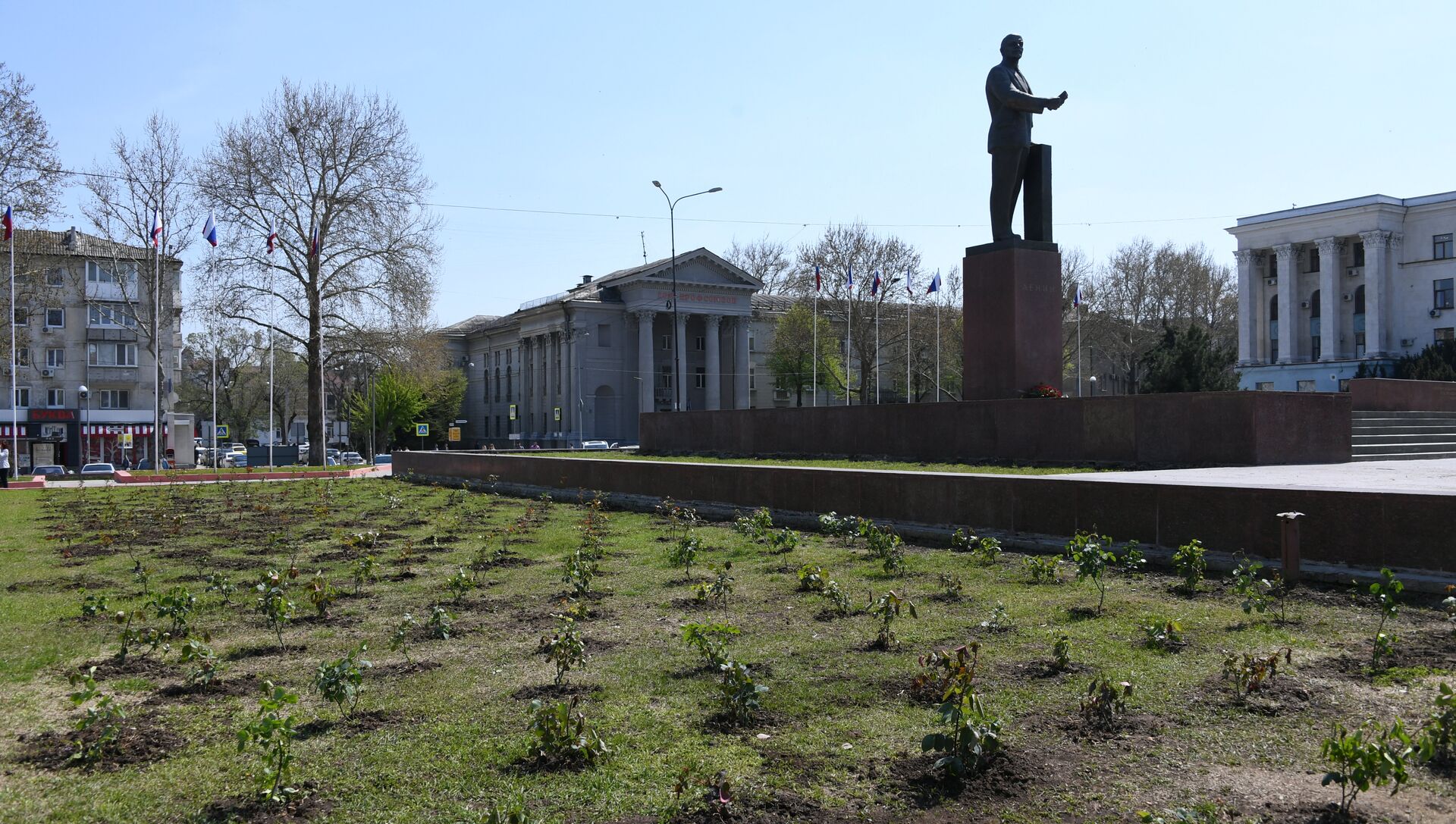 Высаженные розы на площади Ленина в Симферополе - РИА Новости, 1920, 08.07.2021