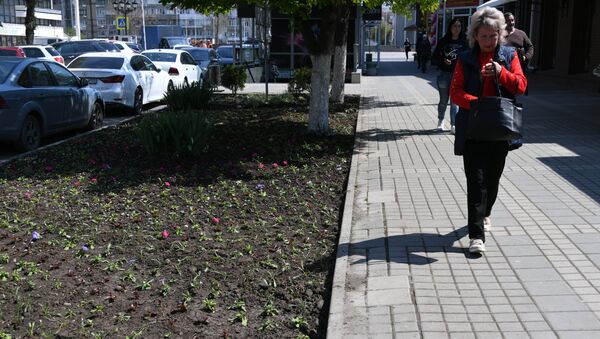 Высаженные цветы на клумбах в центре Симферополя