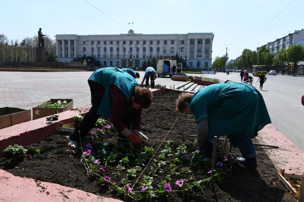 Высадка цветов на клумбах в центре Симферополя Высадка цветов на клумбах в центре Симферополя