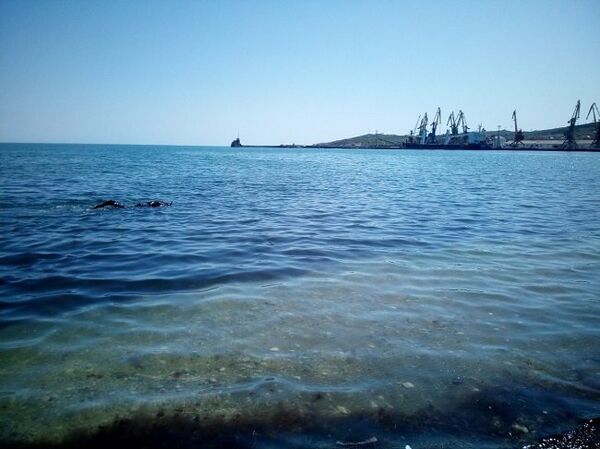 Спасатели-водолазы Феодосийского аварийно-спасательного отряда Крым-СПАС обследовали дно акватории трех пляжей Спасатели-водолазы Феодосийского аварийно-спасательного отряда Крым-СПАС обследовали дно акватории трех пляжей