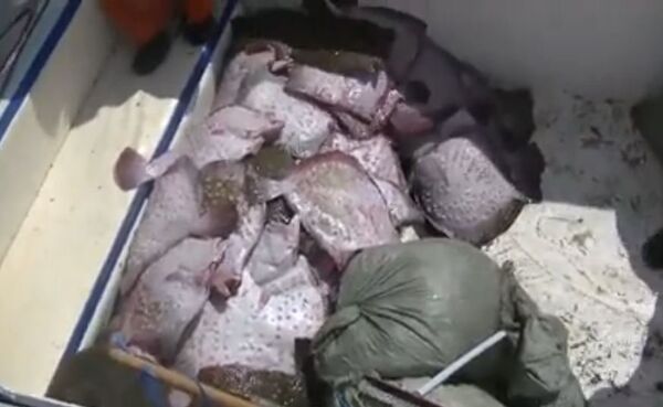 Незаконная рыбалка: в Крыму задержали две бригады браконьеров Незаконная рыбалка: в Крыму задержали две бригады браконьеров