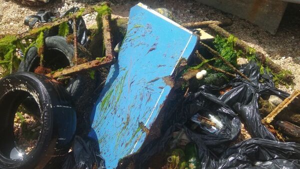 Акваторию у пляжа Мраморный в Балаклаве очистили от мусора