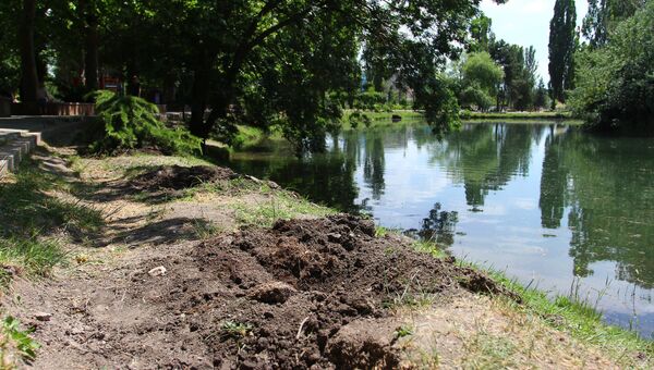 В Симферополе из парка имени Гагарина украли 42 дерева и кустарника