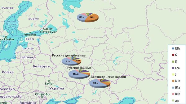 Распределение гаплогрупп среди русских популяций. Гаплогруппа — совокупность вариантов геномов, присутствующих в популяции, которая указывает на предков. Диаграммы показывают сходство геномов центральных и южных русских, донских казаков. У жителей Архангельской области резко выделяется гаплогруппа N1c (коричневый), свойственная финно-уграм Распределение гаплогрупп среди русских популяций. Гаплогруппа — совокупность вариантов геномов, присутствующих в популяции, которая указывает на предков. Диаграммы показывают сходство геномов центральных и южных русских, донских казаков. У жителей Архангельской области резко выделяется гаплогруппа N1c (коричневый), свойственная финно-уграм