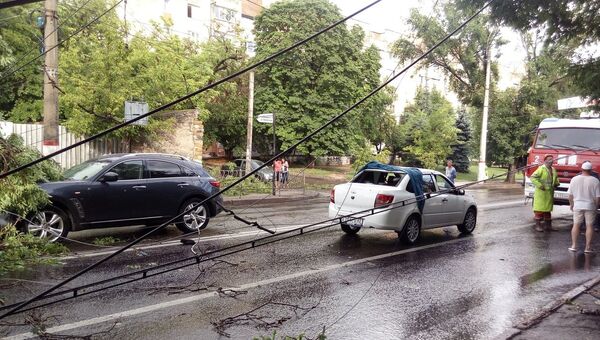 В Симферополе на улице Киевская рухнувшее дерево перегородило дорогу
