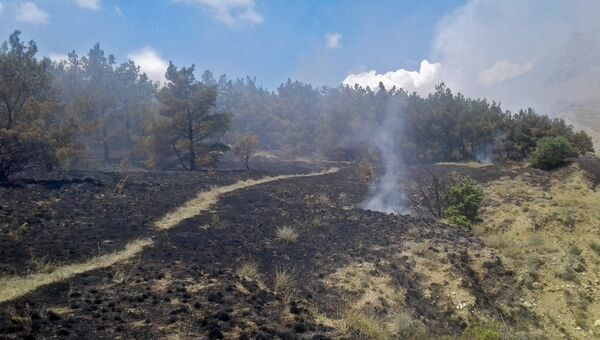 Последствия пожара на склоне горного массива Эчки-Даг в Феодосии