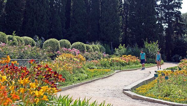 Лилейник в Никитском ботаническом саду