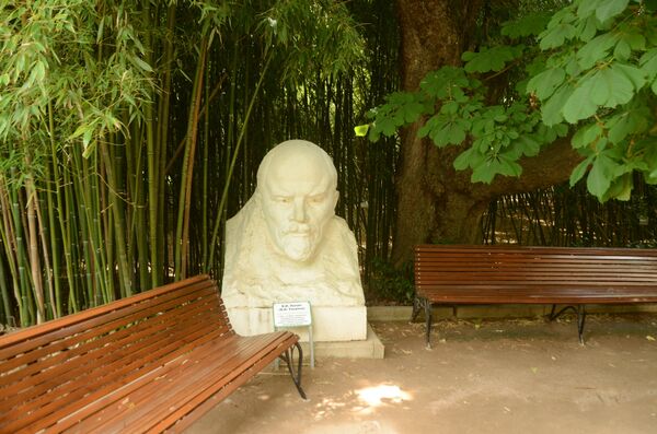 Бюст В.И. Ленина возле Научного музея в Никитском ботаническом саду Бюст В.И. Ленина возле Научного музея в Никитском ботаническом саду