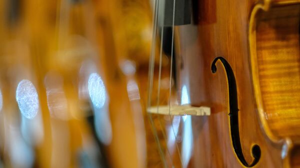 Скрипка. Архивное фото