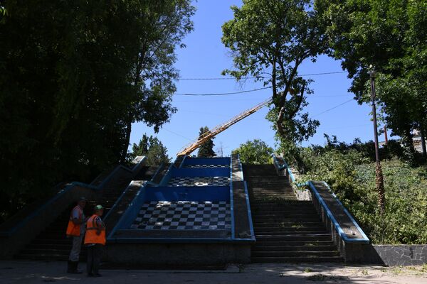 Вырубка деревьев вдоль набережной реки Салгир Вырубка деревьев вдоль набережной реки Салгир