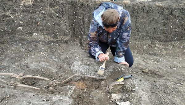 Археологи во время раскопок на некрополе Кыз-Аул в поселке Яковенково на Керченском полуострове