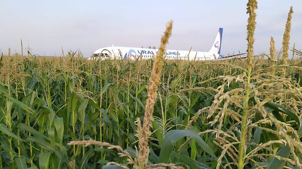 Самолет А321 после вынужденной посадки