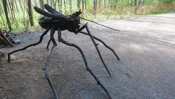 Деревянная скульптура комара у входа в музей природы на территории заповедника Кивач в Республике Карелия.