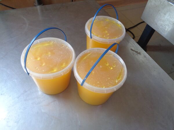 Запрещенный к ввозу украинский мед