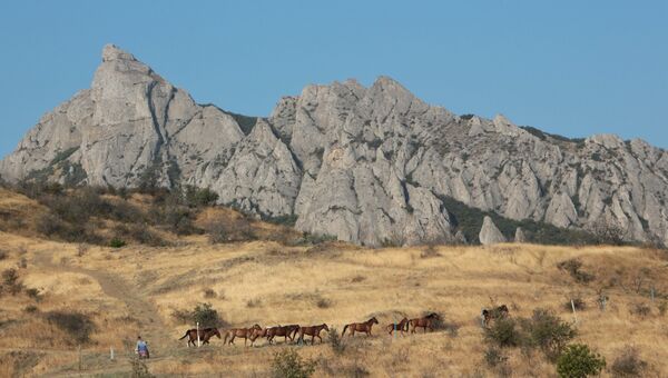 Лошади на горе Кара-Даг в Крыму