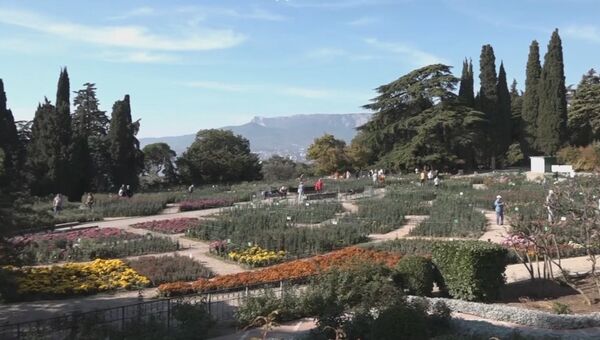 Открытие бала хризантем в Никитском ботаническом саду