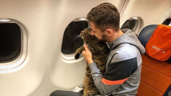 Михаил Галин и кот Виктор в самолете