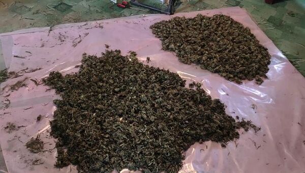 В Сакском районе ФСБ выявила десятки килограмм наркотиков