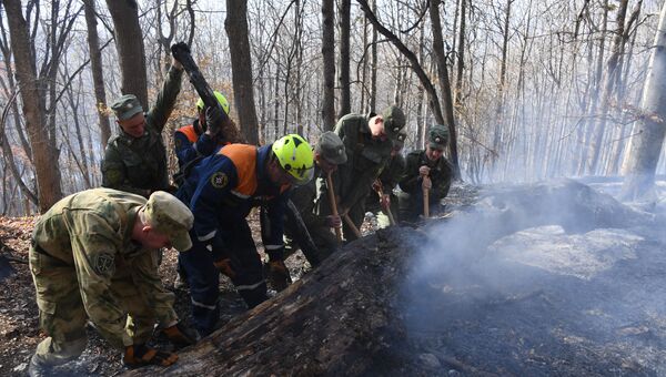 Тушение лесного пожара в урочище Курлюк-Баш в Симферопольском районе