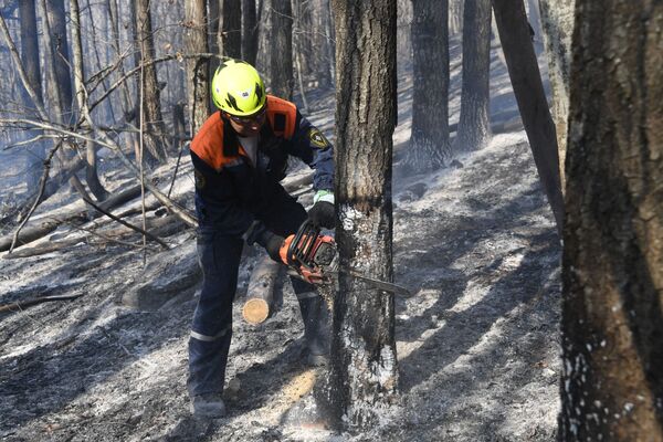 Тушение лесного пожара в урочище Курлюк-Баш в Симферопольском районе