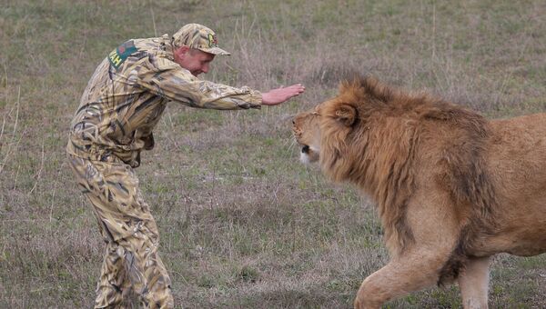 Парк львов Тайган в Крыму