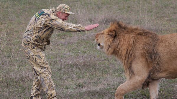 Парк львов Тайган в Крыму