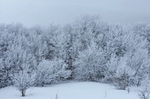 Зимний Крым: кромка леса на склоне горы Чалбаш