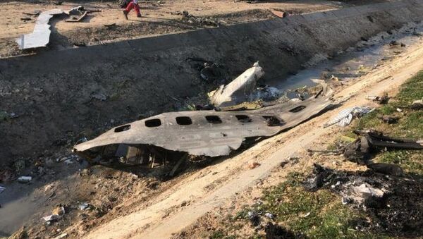 Iran Ukraine Plane Crash