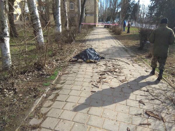 #Народнаясводка: в Керчи мужчину насмерть придавило деревом - фото #Народнаясводка: в Керчи мужчину насмерть придавило деревом - фото
