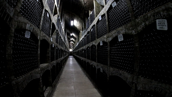 Возродить коктебельские вина: выполнима ли миссия