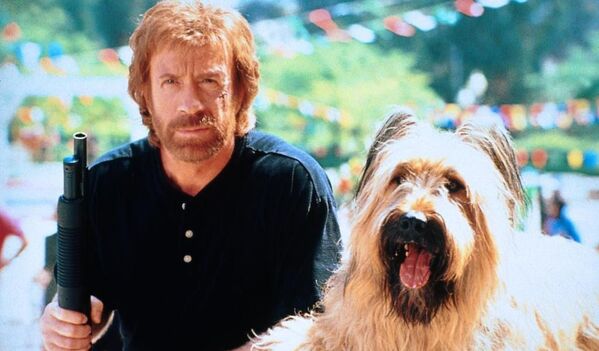 Кадр из фильма Главная собака (Top Dog), 1995 год