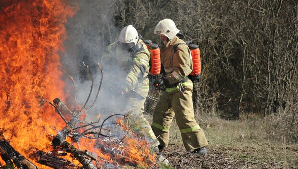 Тушение лесного пожара в Крыму. Архивное фото