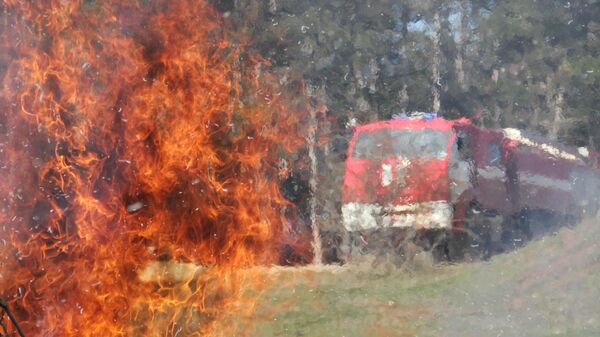 В Крыму прошли учения МЧС по тушению лесных пожаров