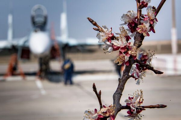 Пока авиация ЧФ РФ готовится ко взлету, на аэродроме жизнь идет своим чередом. Весна.