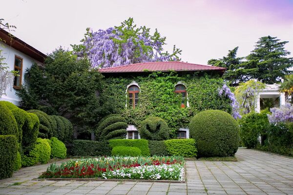 Никитский ботанический сад весной