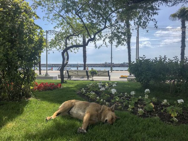 Ялта готовится к курортному сезону: фотофакт Ялта готовится к курортному сезону: фотофакт