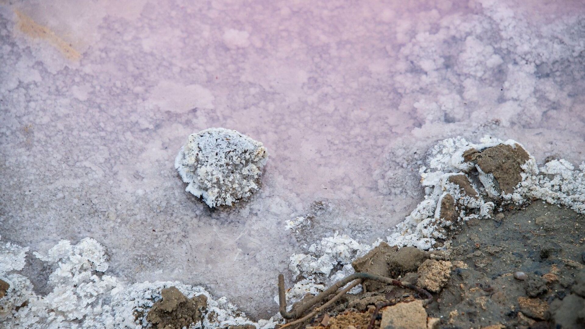 Сакское лечебное озеро иногда приобретает розоватый оттенок и-за микробиологических процессов в рапе - РИА Новости, 1920, 25.09.2020