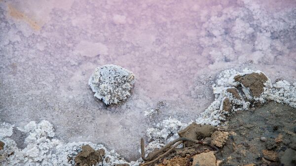 Сакское лечебное озеро иногда приобретает розоватый оттенок и-за микробиологических процессов в рапе