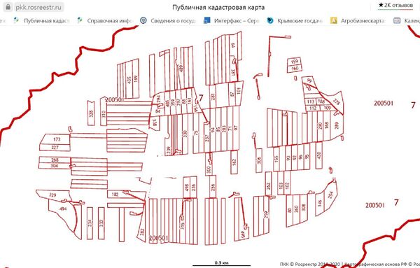 Зеленое богатство Крыма: какое будущее ждет заповедники полуострова Зеленое богатство Крыма: какое будущее ждет заповедники полуострова