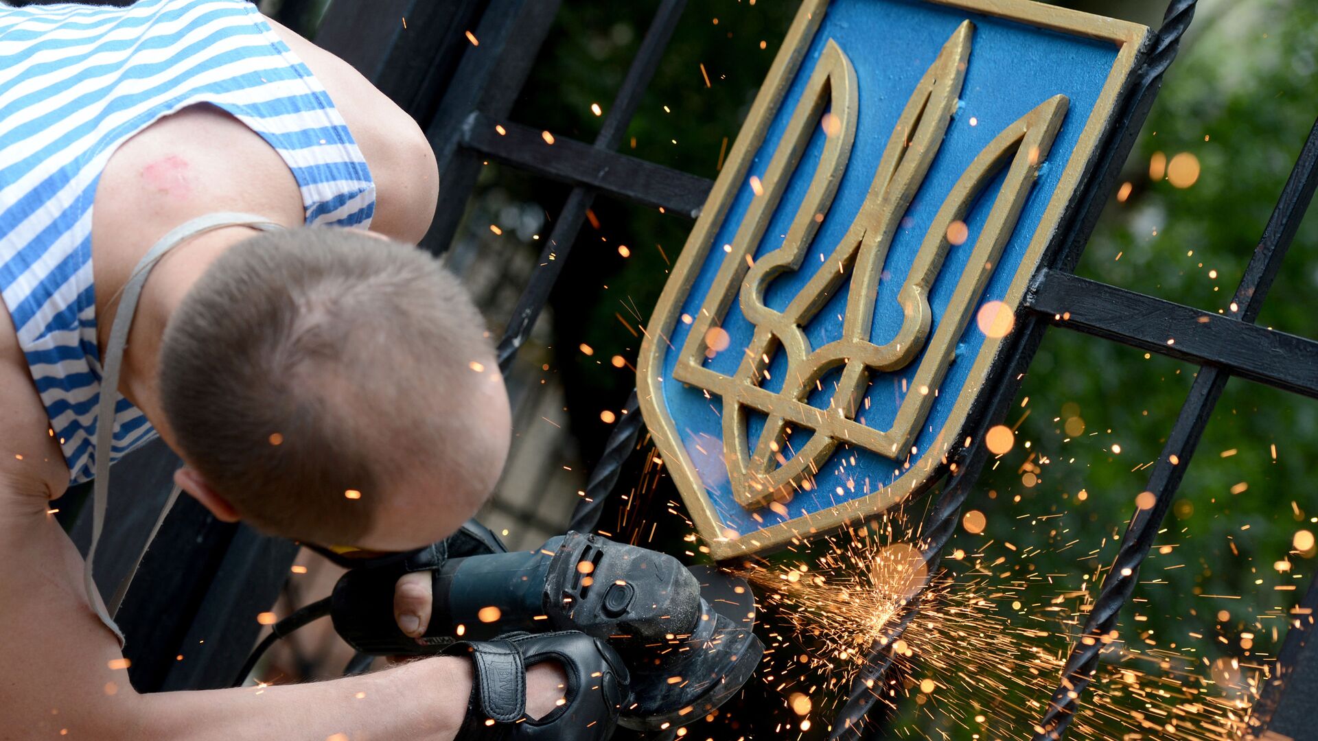 Боец ополчения Луганской народной республики срезает герб Украины с ворот здания областной администрации в Луганске - РИА Новости, 1920, 06.06.2021