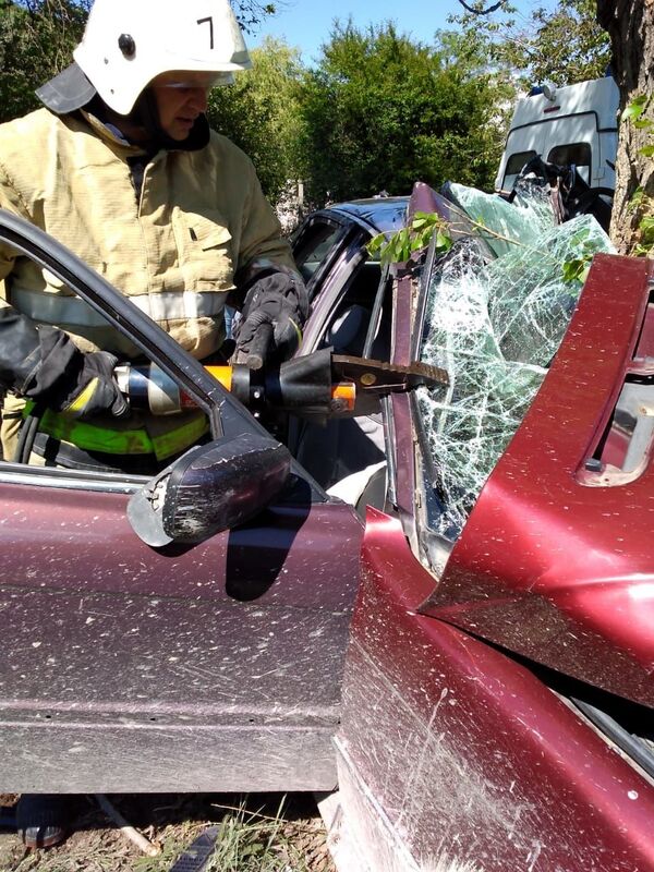 Водитель на иномарке протаранил дерево под Бахчисараем – фото
