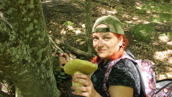 Один из лучших грибов - боровик - любит крымские буковые леса
